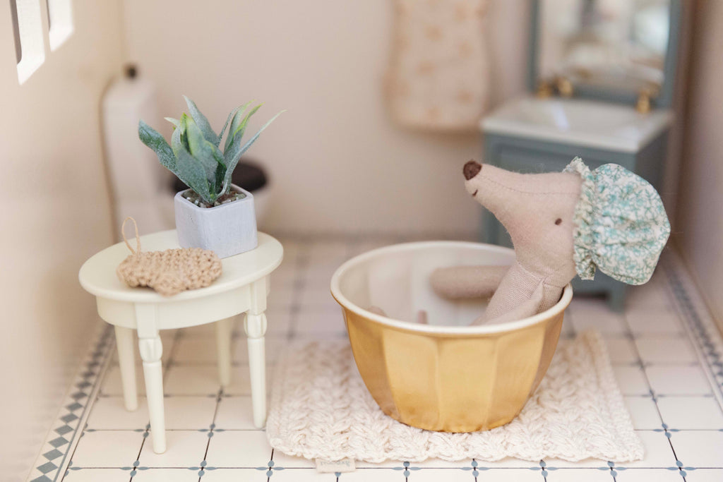Plants,Plant Stands And Vases