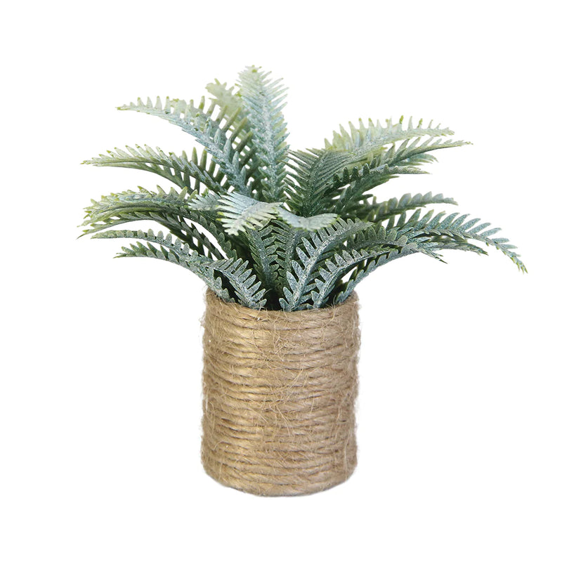 Aizulhomey Mini Plant Cycas Dollhouse Miniature